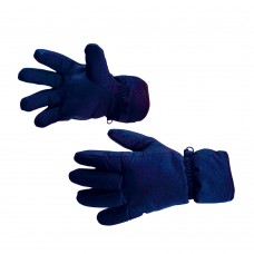Непромокаемые лыжные перчатки Portwest GL10 темно-синие
